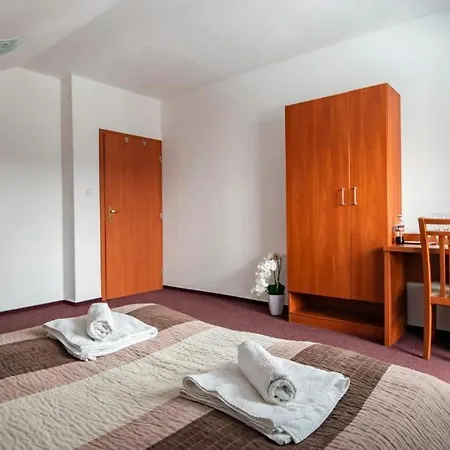 Casa de hóspedes Borievka 3*